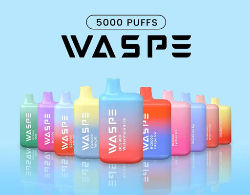 Waspe 5000 PUFFS Vapore ricaricabile usa e getta 13 ml Succo di frutta pre-riempito