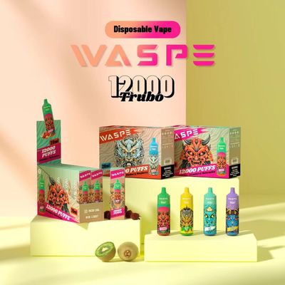 20 ml E-Liquid Vape Pen monouso con Micro USB tipo C 10PCS/ Display Box