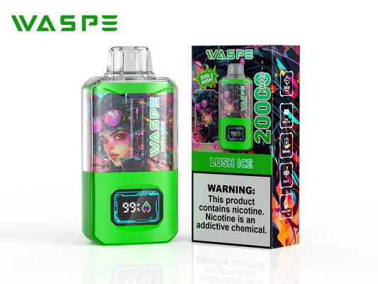 Sus304 Big Puff Vape Con 20000 Puff 650Mah Batteria Display