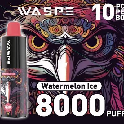 8000Puffs Pen elettronica monouso con porta di ricarica tipo C senza