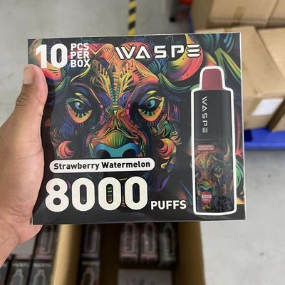 8000Puffs Pen elettronica monouso con porta di ricarica tipo C senza
