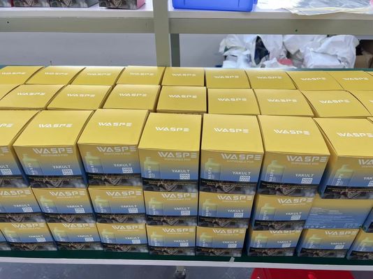 5000 Puffs Waspe Vape Pen ricaricabile usa e getta con 13 ml di succo di frutta preriempito