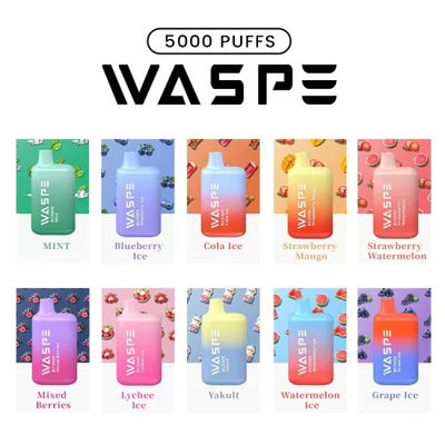 Waspe 5000 Puffs Vape Pen usa e getta 650mAh Tipo-C Ecig ricaricabile