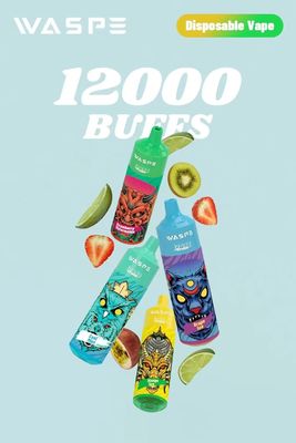 12000Puffs Vape Pen usa e getta con 20 ml di E-Liquid per grandi esigenze di vaping