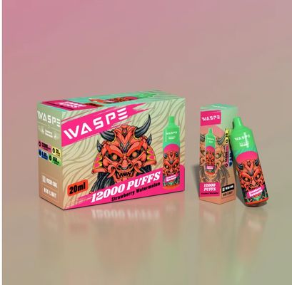 20 ml E-Liquid Vape Pen monouso con Micro USB tipo C 10PCS/ Display Box