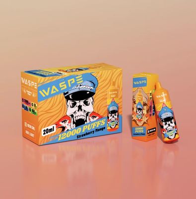 20 ml E-Liquid Vape Pen monouso con Micro USB tipo C 10PCS/ Display Box