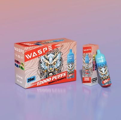 Waspe 12000 Puffs Big Puff Vape Mesh Coil LED luminoso scatola di vapore usa e getta