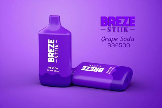 BREZE BS6500 Vapore usa e getta Grande puff 15ml Succo di frutta pre-riempito Batteria 500mAh