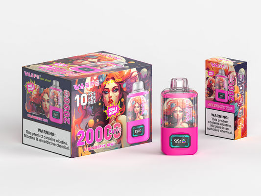 24 ml di Ejuice Big Puff Vape Tipo C carica batteria da 650 Mah Kit di visualizzazione schermo