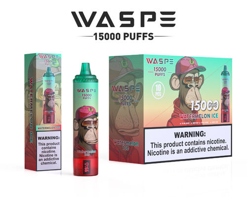 650mAh Big Puff Vape con 22ml Ejuice 2% 5% Nicotina Livelli 12 Sapori fruttati OEM Colorato