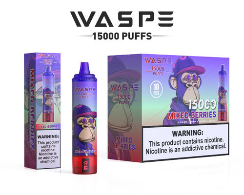 Big Puff SUS304 5% Nicotina 15000 Puffs Vape Per 12 Sapori Fruttati
