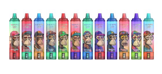 Big Puff SUS304 5% Nicotina 15000 Puffs Vape Per 12 Sapori Fruttati