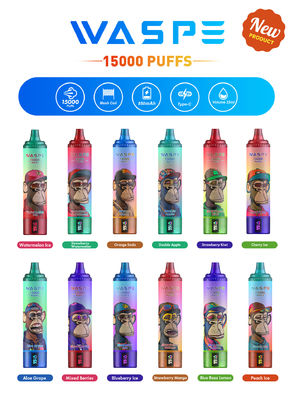 Vape personalizzato da 22 ml SUS304 con 12 sapori fruttati 15000-Puff Capacità di carica Tipo C