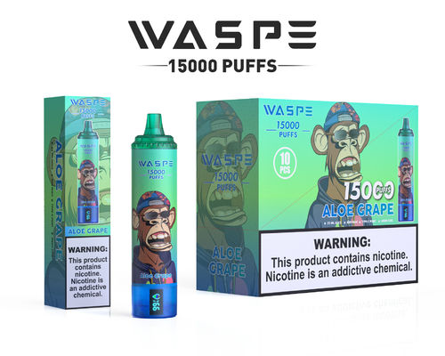 Vape personalizzato da 22 ml SUS304 con 12 sapori fruttati 15000-Puff Capacità di carica Tipo C