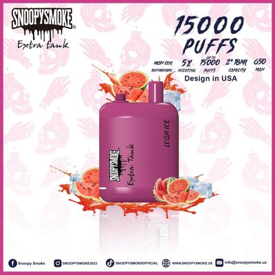 Batteria Doppio serbatoio con Falvor di frutta 1,2 ohm bobina a maglia tipo C Batteria ricaricabile
