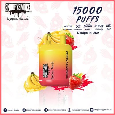 USA Vape doppio serbatoio 1,2 ohm mesh bobina 15000 puffs 5% nicotina frutta Falvors E kit di sigarette