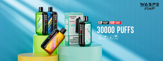 Vape a doppia rete di carica di tipo C da 1 ohm con prestazioni durature e 15000 puffs
